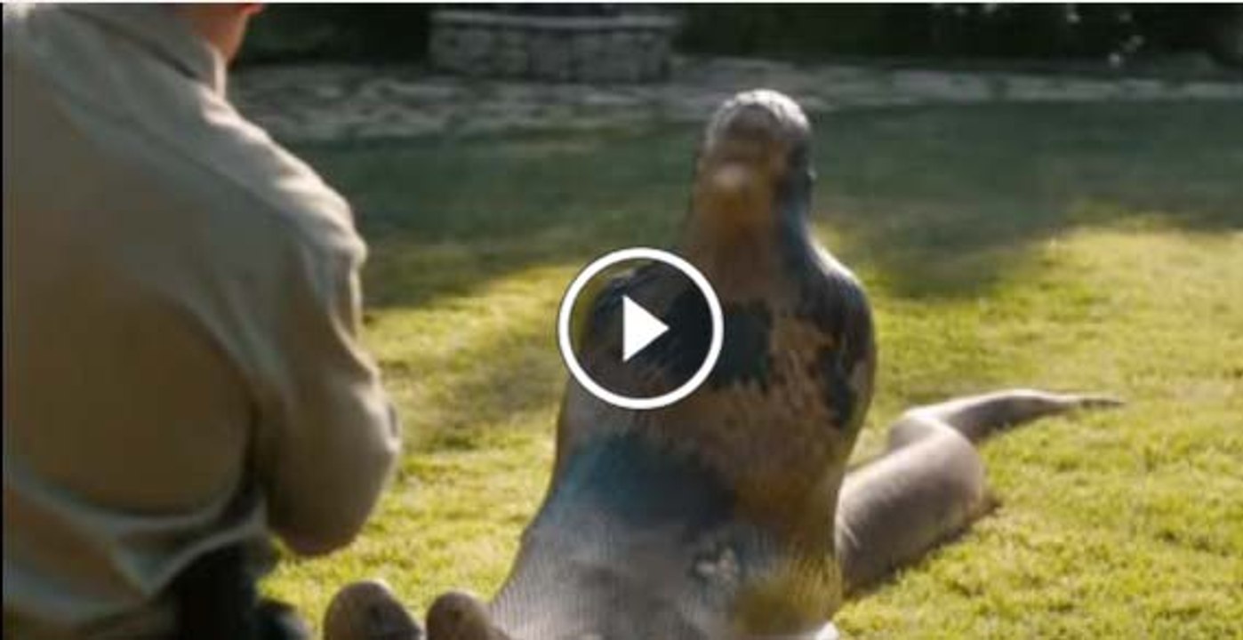 Giant Snake With Anaconda Eats Man