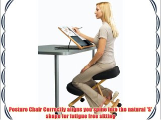 Putnams Posture Chair (Coccyx) Designed For Coccyx Relief-Black