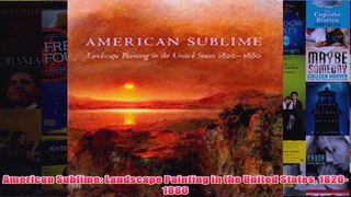 American Sublime Landscape Painting in the United States 18201880