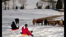 Winter Wonderland Sledding Fails