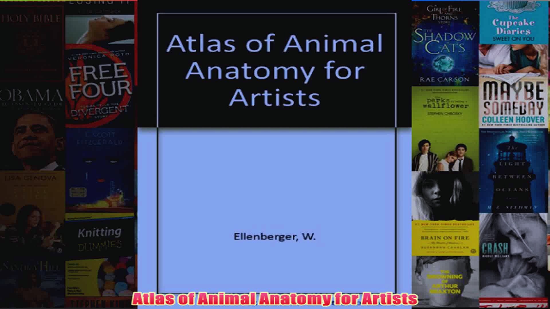 Atlas Of Animal Anatomy For Artists Video Dailymotion
