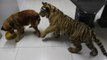 Dog Defends His Water Bowl From a Ferocious Tiger