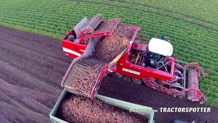 Patates Havuç Kereviz Hasadı