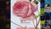 Redoute Roses Jumbo