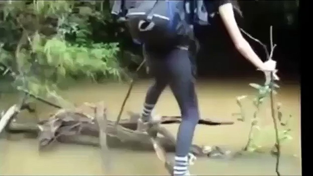No, There NO !!!!