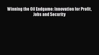 PDF Download Winning the Oil Endgame: Innovation for Profit Jobs and Security Download Online