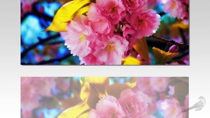 Вітаю свою мамусю з днем народження