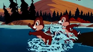 DONALD DUCK CARTOONS !!! DONALD DUCK & Chip an` Dale CARTOON EPISODES FULL COMPILATION 2015 [HD]_60