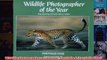 Wildlife Photographer of the Year Portfolio 4 Portfolio Four