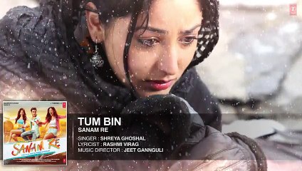Tum Bin Shreya goshal Full Song by sanam re 2016