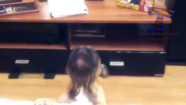 Cute puppies barking and talking - Funny dog compilation(014000-664659)