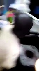 Video: il se fait attaqué par un chien à mourir de rire