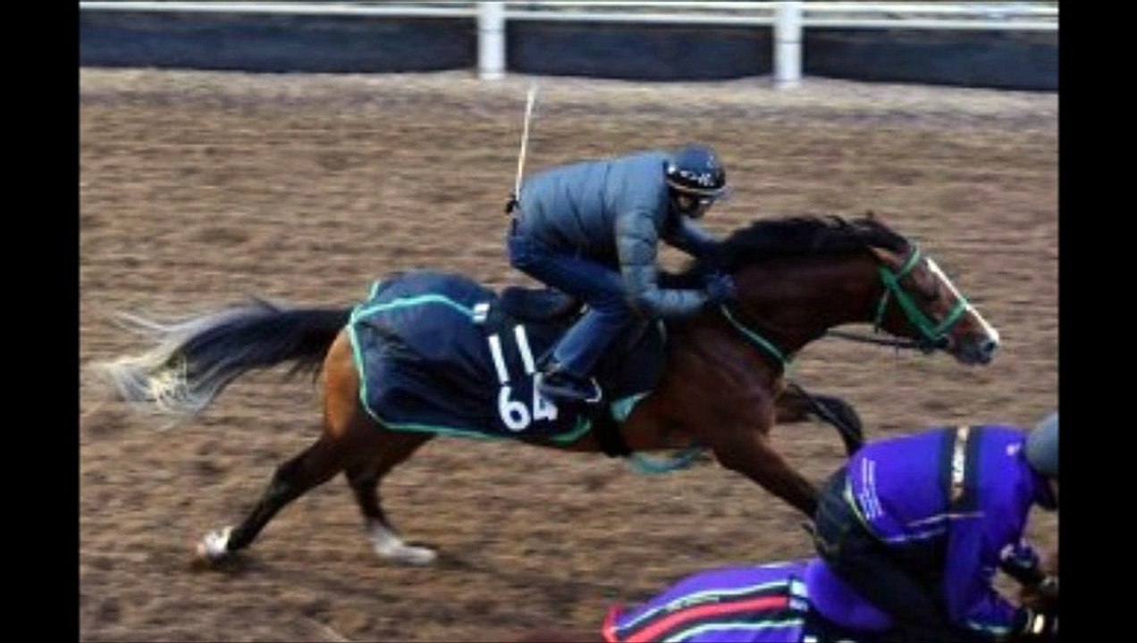 シンザン記念(GIII) メンコ着用で一変レインボーライン楽しみ 「競馬レース結果ハイライト」2016年