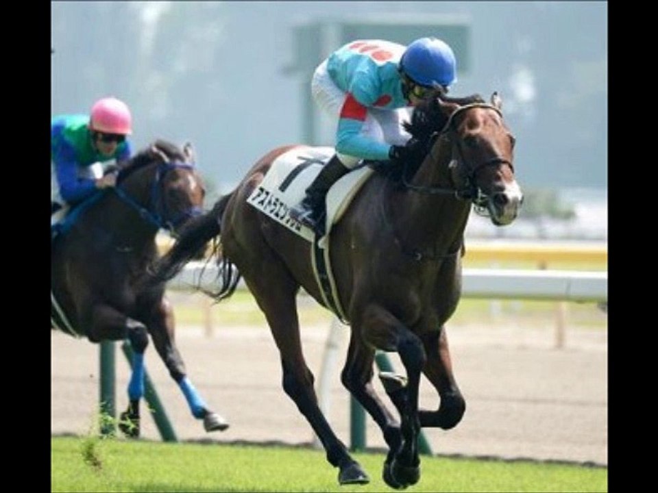 シンザン記念(GIII) レース展望 「競馬レース結果ハイライト」2016年