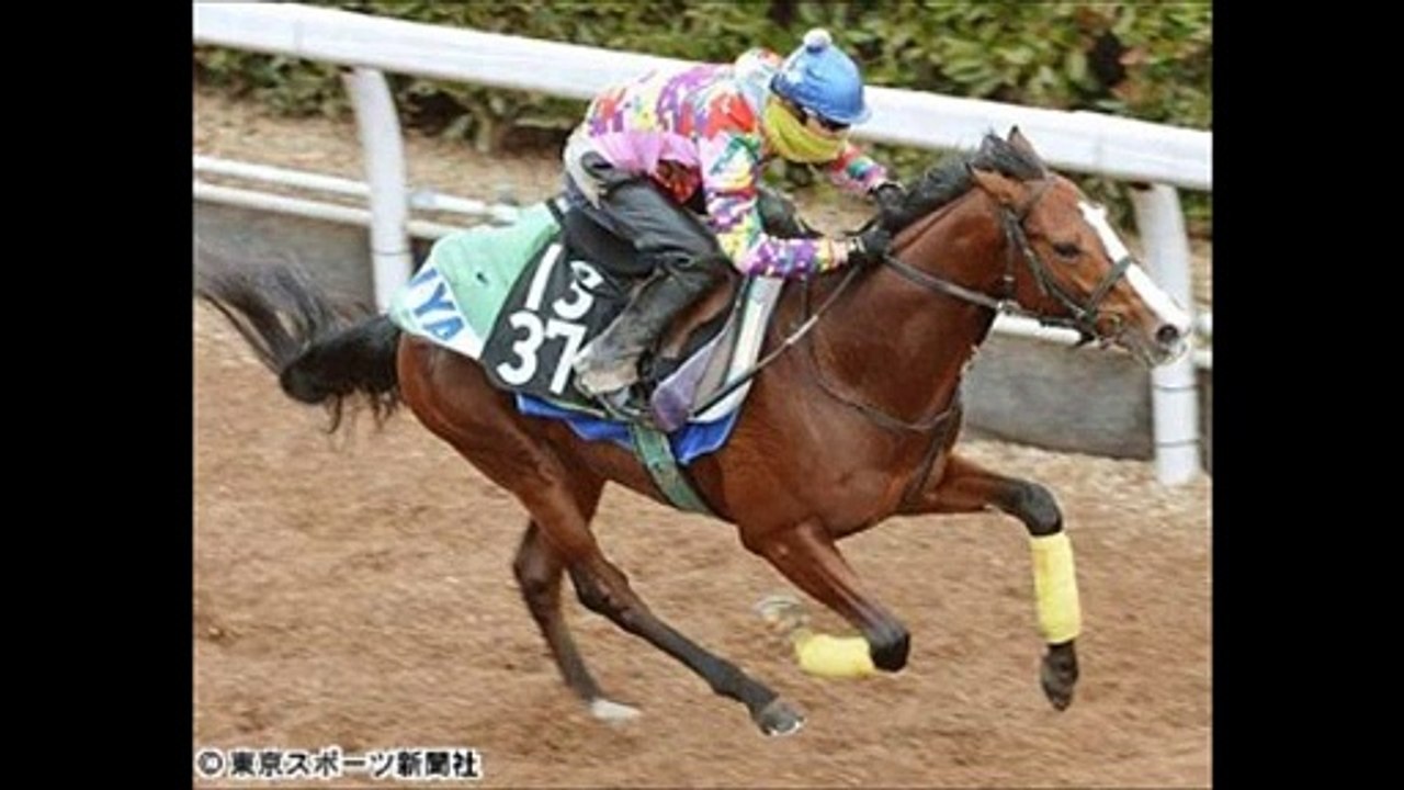 シンザン記念(GIII) ピースマインド　重賞初Ｖへ視界良好「体が小さい割にいい跳びをしている」 「競馬レース結果ハイライト」2016年