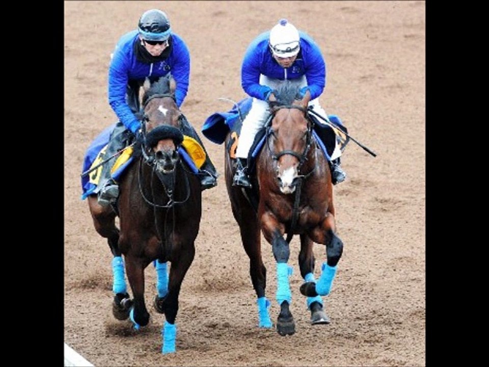 シンザン記念(GIII) アストラ臨戦態勢 「競馬レース結果ハイライト」2016年