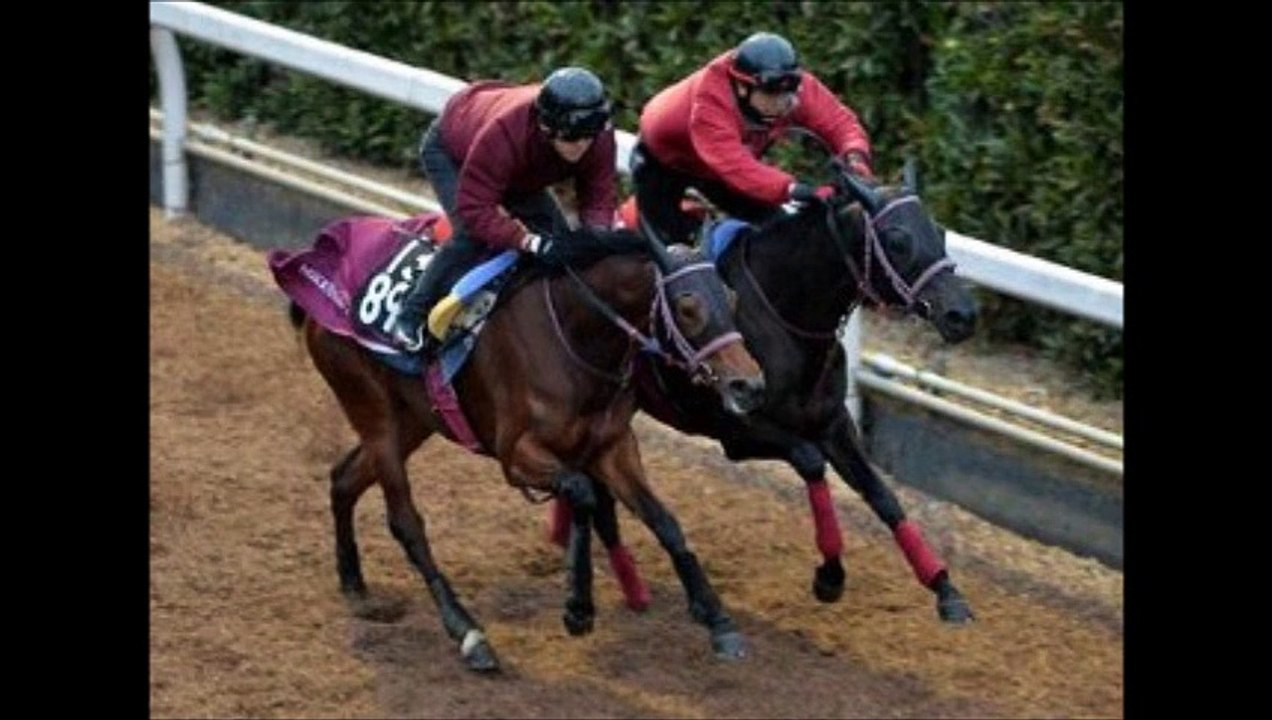 シンザン記念(GIII) ラルク、牝馬Ｖへ楽々１２秒５ 「競馬レース結果ハイライト」2016年