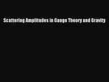 PDF Download Scattering Amplitudes in Gauge Theory and Gravity Read Online