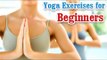 Yoga Exercises for Beginners - Basic Movements, Positions, Easy Asana & Diet Tips in English