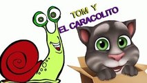 TOM Y EL CARACOLITO CARACOLOTE - Canciones Infantiles/BabyKids
