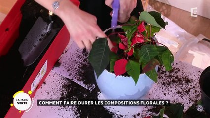 Comment faire durer les compositions florales ?