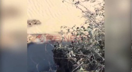 Shembja e Argjinaturës mes Shkumbinit dhe Pashait. Video e postuar nga deputeti Erion Braçe