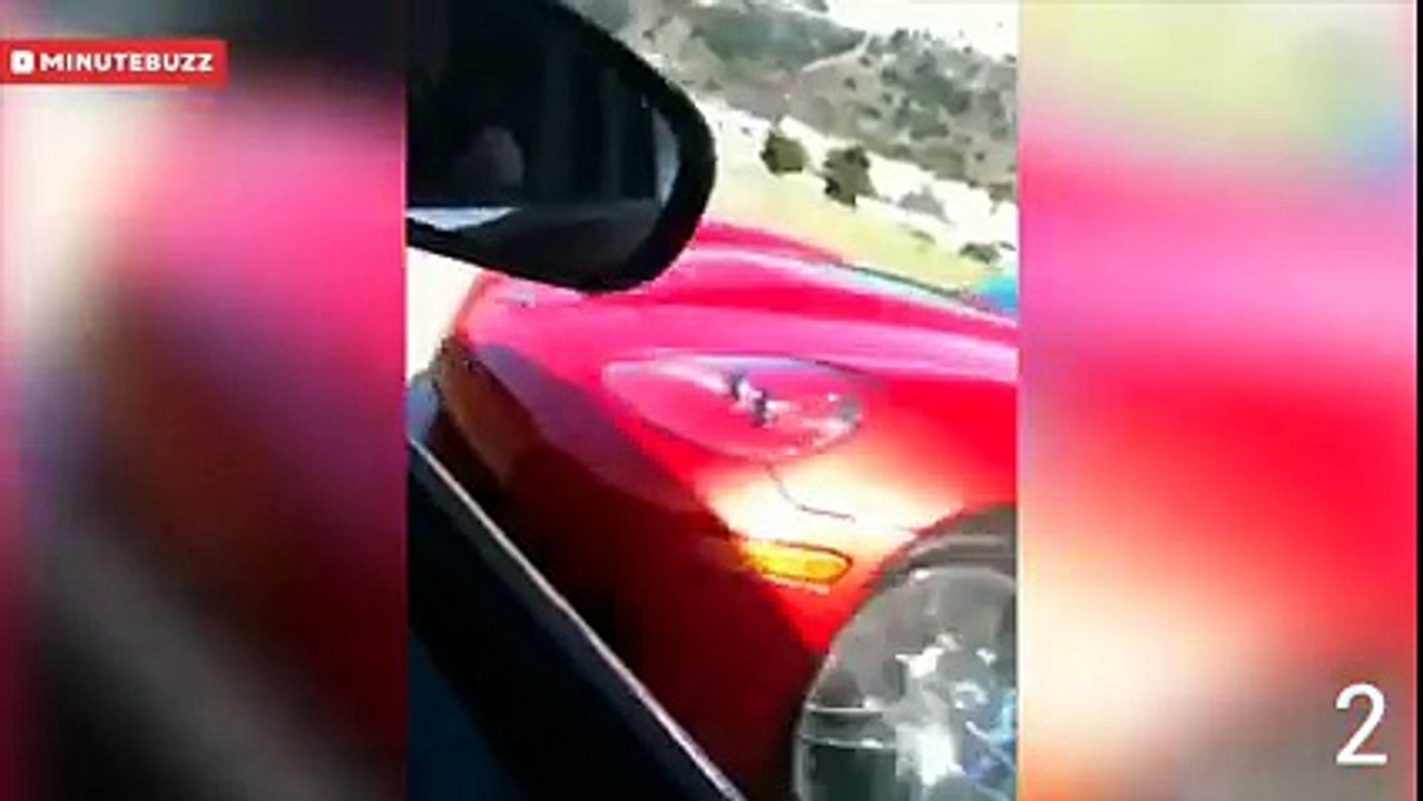 Ces fails qui ont couté très très chers