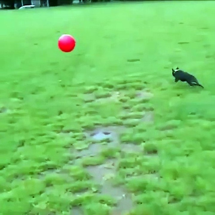 funny fail
