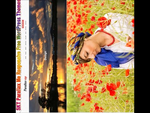 These Free WordPress Themes are Versatile with a Lot of Features and Options