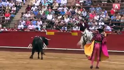 Caballo defiende a un torero de ser corneado gravemente!