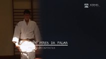 Joao Filipe Pires da Palma