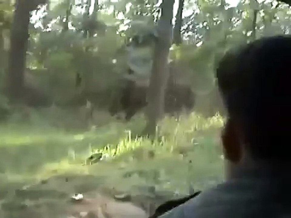 KILLER ELEPHANT ATTACK IN KERALA INDIA 2015