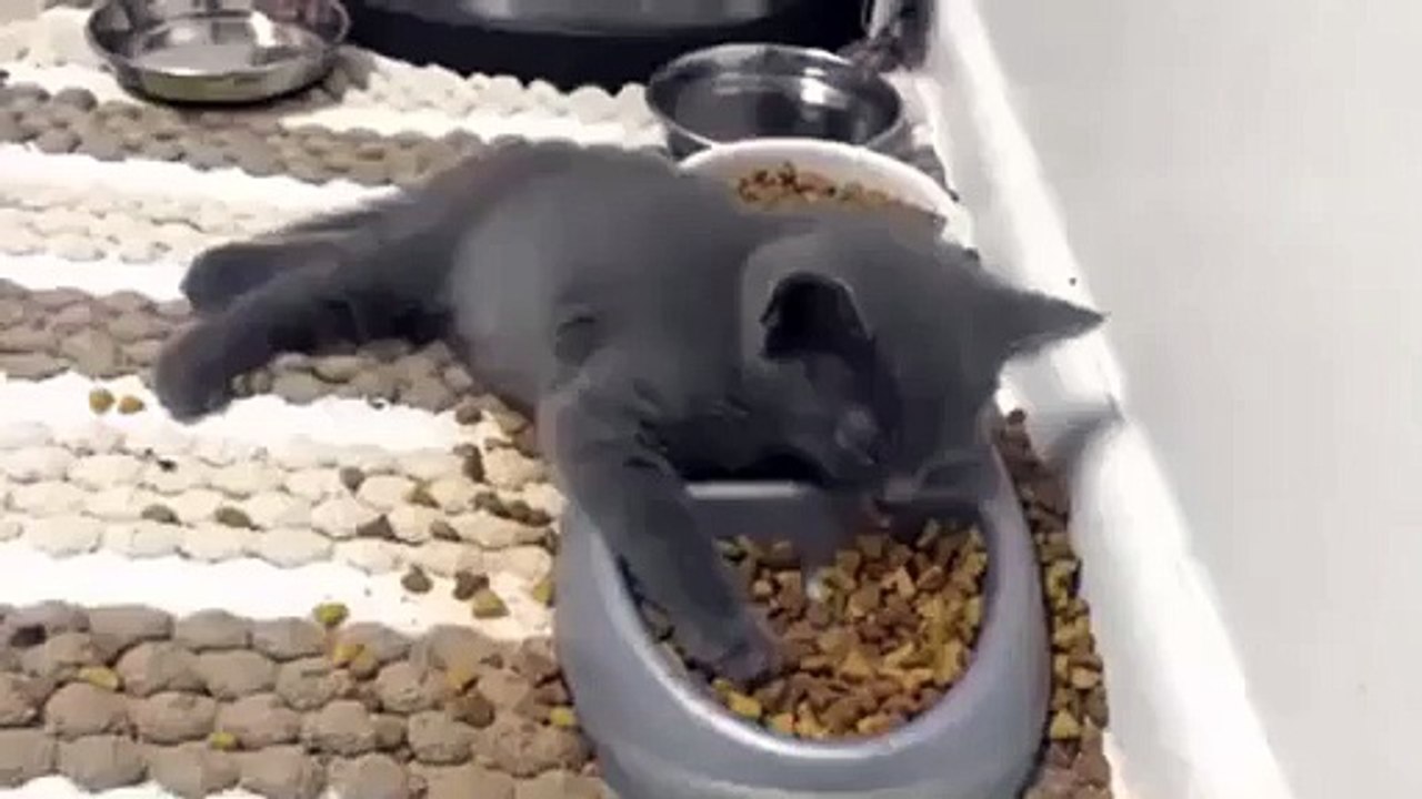 Funny  “Me after new year party! ”
