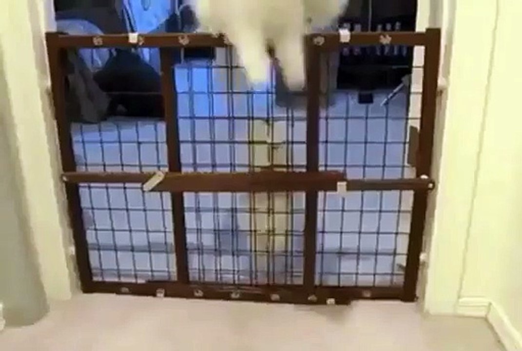 Funny “Mommy is so proud ”