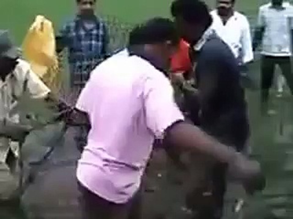 SNAKE ATTACKING GOAT IN INDIA - WHATSAPP INDIAN VIRAL VIDEO