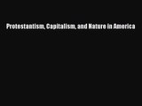 PDF Download Protestantism Capitalism and Nature in America PDF Full Ebook
