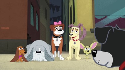 Pound Puppies - There is No Such Thing as Bad Luck