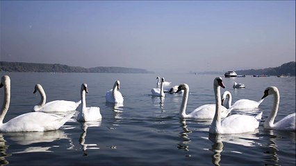Strauss - Blue Danube waltz