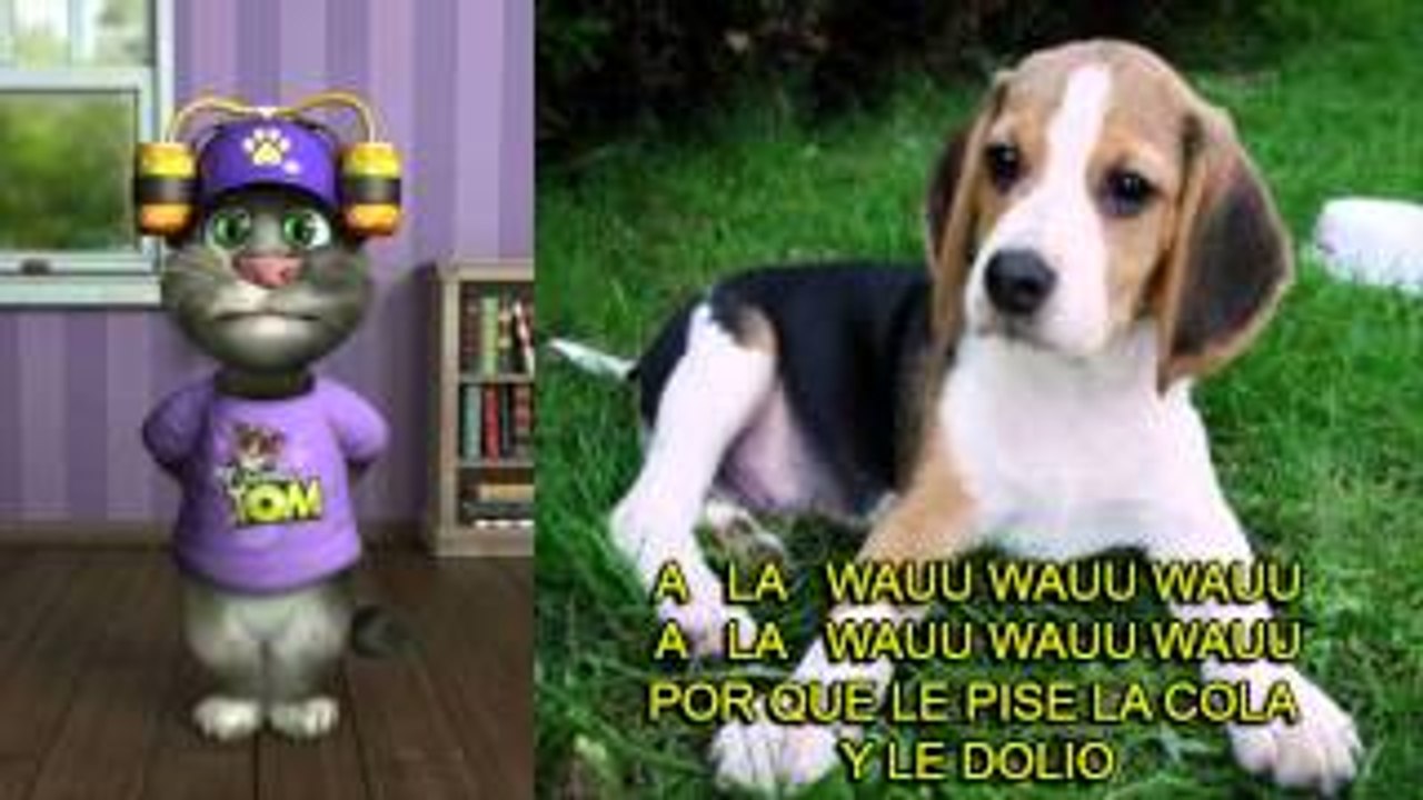 TOM Y LOS ANIMALES DOMESTICOS - Canciones Infantiles / BabyKids