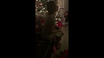 This Man Surprised His Girlfriend With the Cutest Christmas Proposal