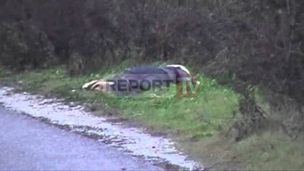 Report TV - Vrasja e Çollakut me pagesë, e ngjashme me rrëmbimin e Stafukës