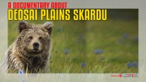 A Documentary About Deosai Plains Skardu