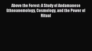 [PDF Download] Above the Forest: A Study of Andamanese Ethnoanemology Cosmology and the Power