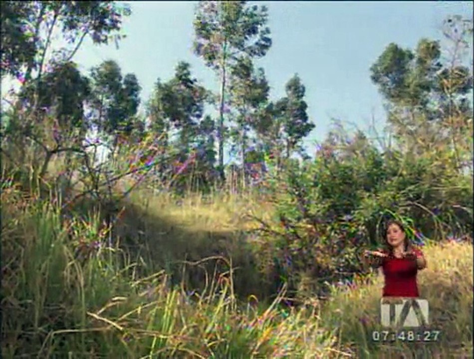 Moradores de la Biloxi se quejan de dos problemas en el sector