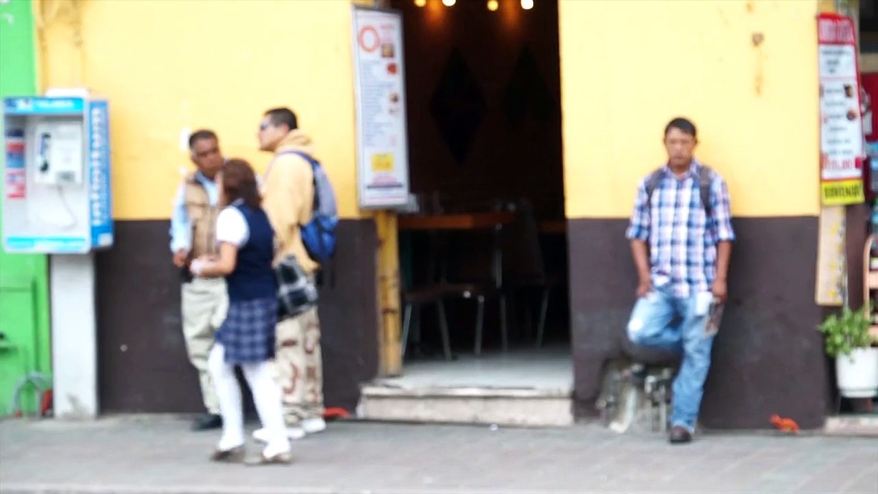 Se busca regularizar a los guías