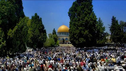 كليب الحلم الآتي ديمة بشار 2016