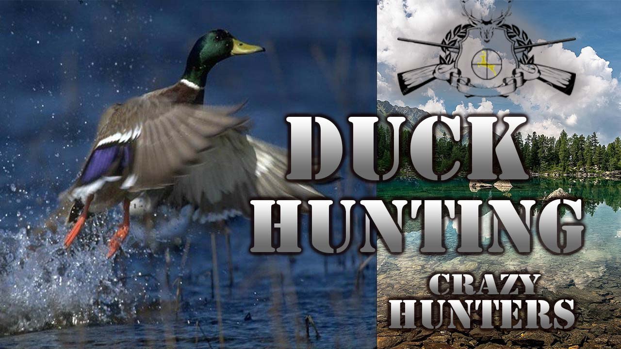 Duck Hunting # 002- Ördek Avı - [►]