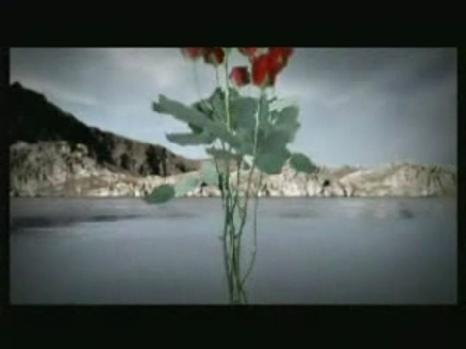 Pub TV verres Sola Teflon