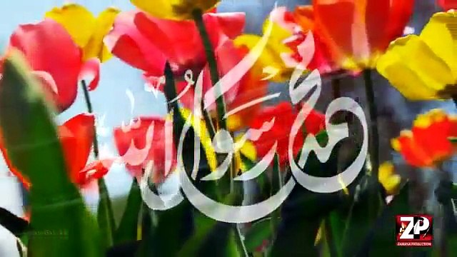 New Naat Har Taraf Noor Ke Ujale He by Syed Ali Deep Rizvi Naat -2016 l 1437 Hijri
