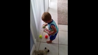 Toddler Struggles To Clean Up Tennis Balls Funny Video